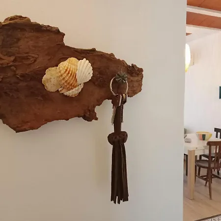 Llavi - Pati * Canet De Mar